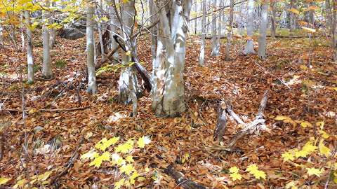 High Lonesome Nature Reserve